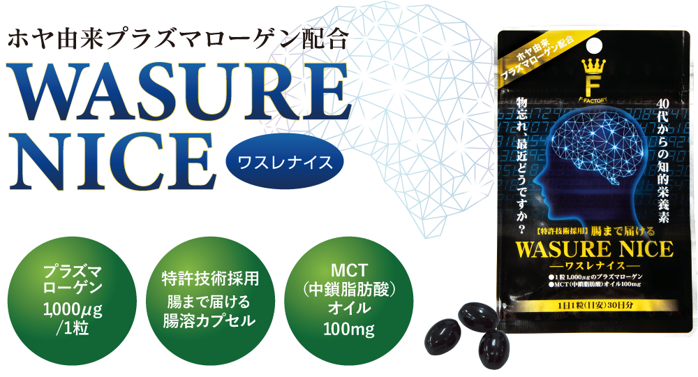 ワスレナイス